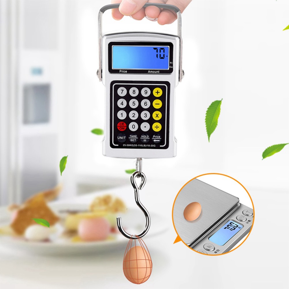 ABS Electronic Fish Hook Scale - Digital Kitchen Scale 评论和价格